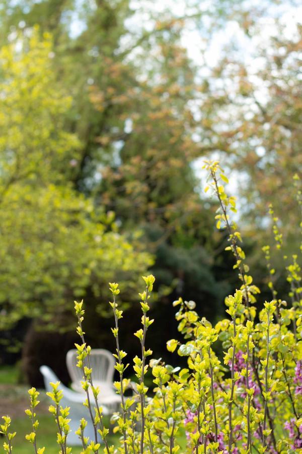 Bed & Breakfast Neeltje Soet Mierlo Exteriér fotografie